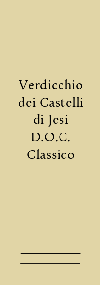Wines Verdicchio dei Castelli di Jesi DOC Classico